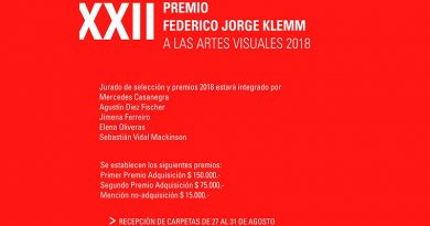 Convocatoria Premio Klemm 2018 artes visuales