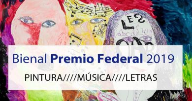 bienal-premio-federal-2019-dario-parejas